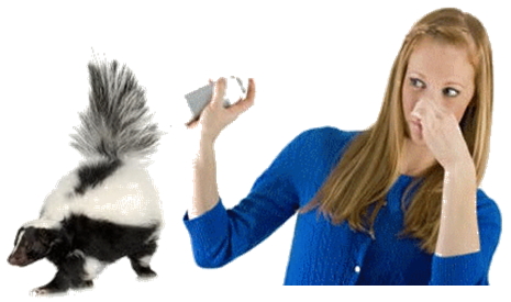 Ormond Beach Water Damage - Odor Control